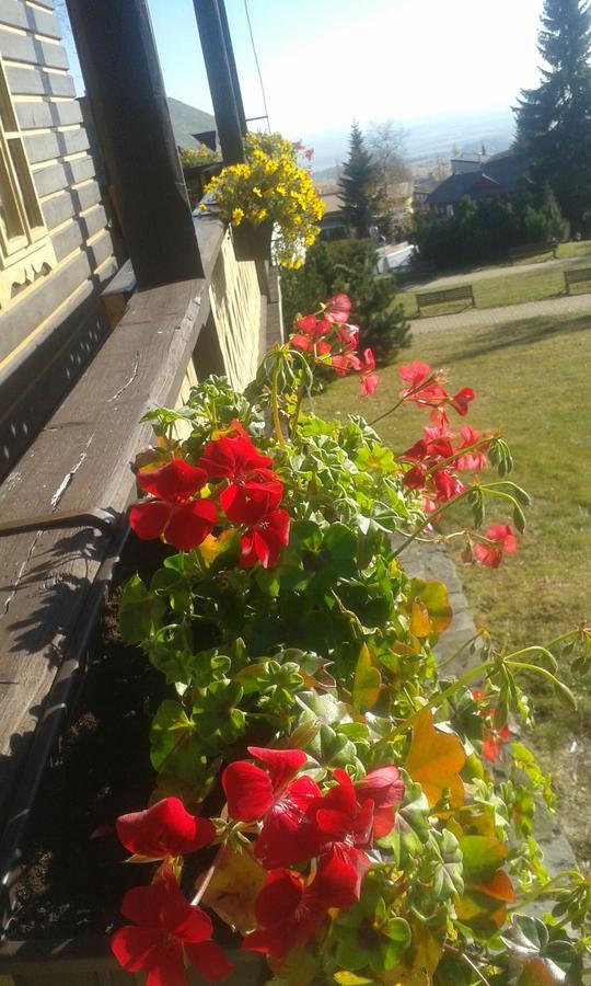 Svajciarsky Dom Guest House Vysoke Tatry Bagian luar foto